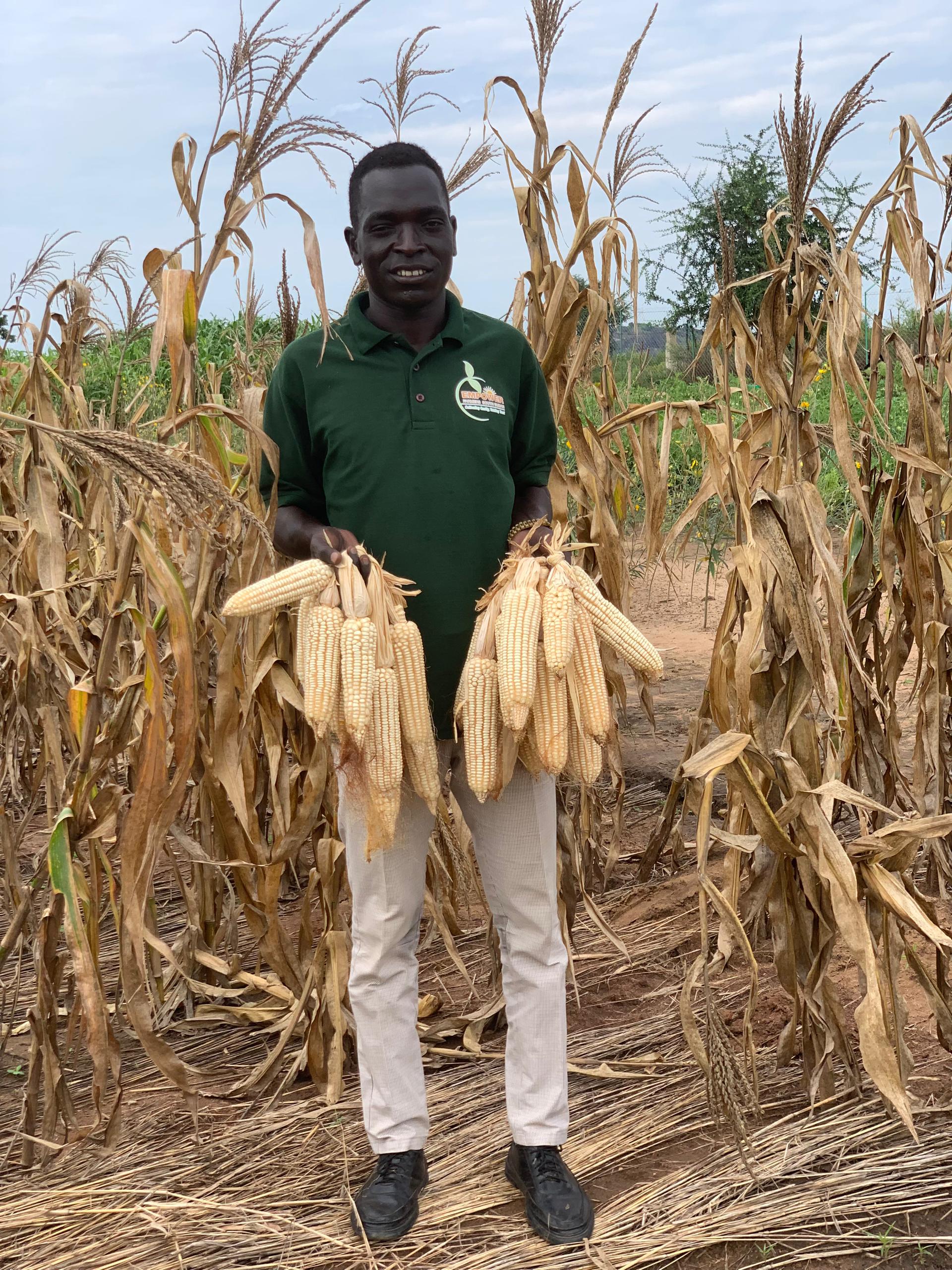 Successful Maize Harvest at Juba Demonstration Farm